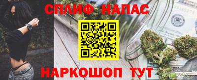 прущие грибы Будённовск
