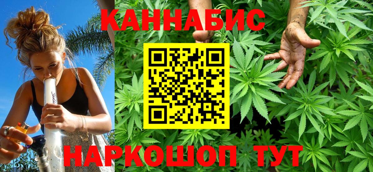 Бошки Шишки планчик  Вход с VPN  Норильск  Бошки Шишки сатива 